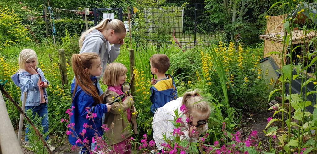 Thumbnail of Wie neemt stokje Kindertuinen over van Ron en Marianne