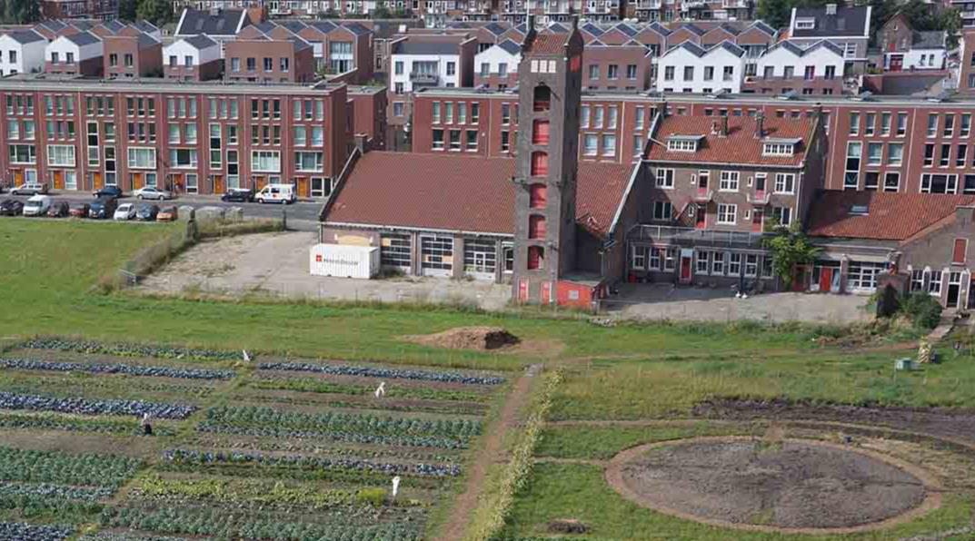 De geschiedenis van de Stadslandbouw in Vlaardingen