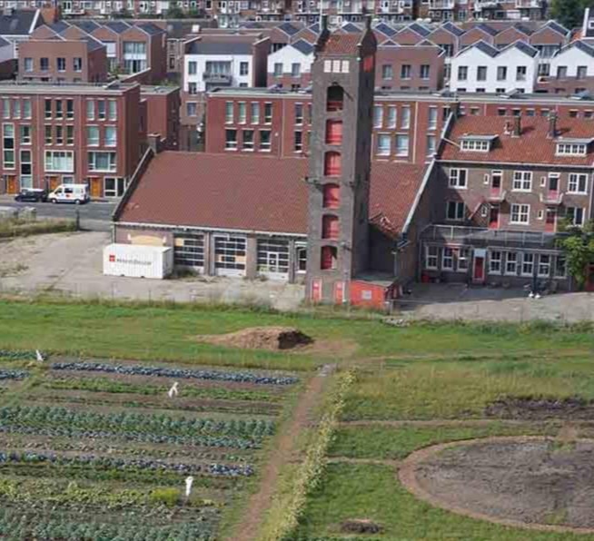 Stadlandbouw in Vlaardingen