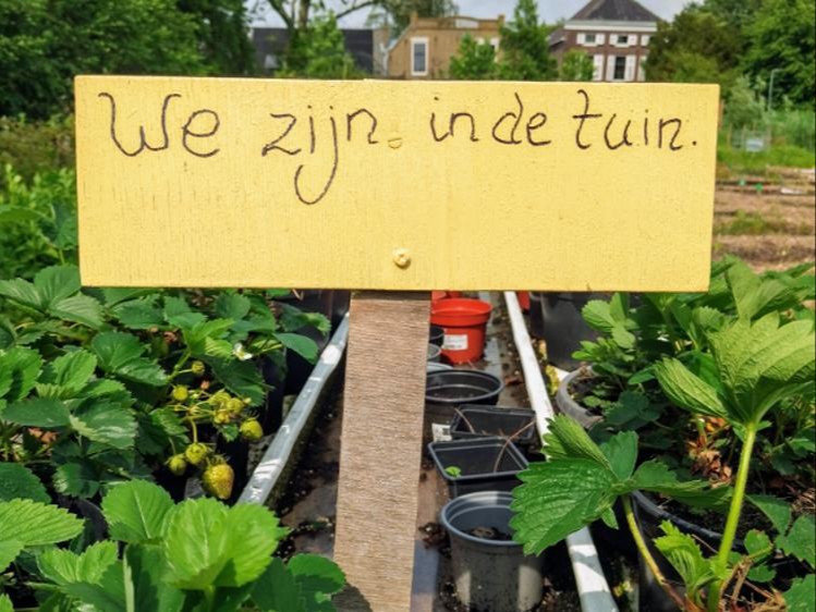 We zijn in de tuin